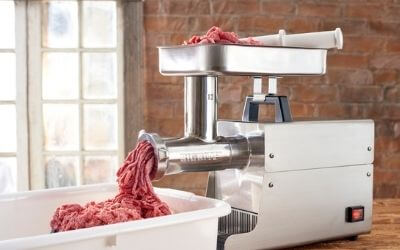 best meat grinders for raw dog food